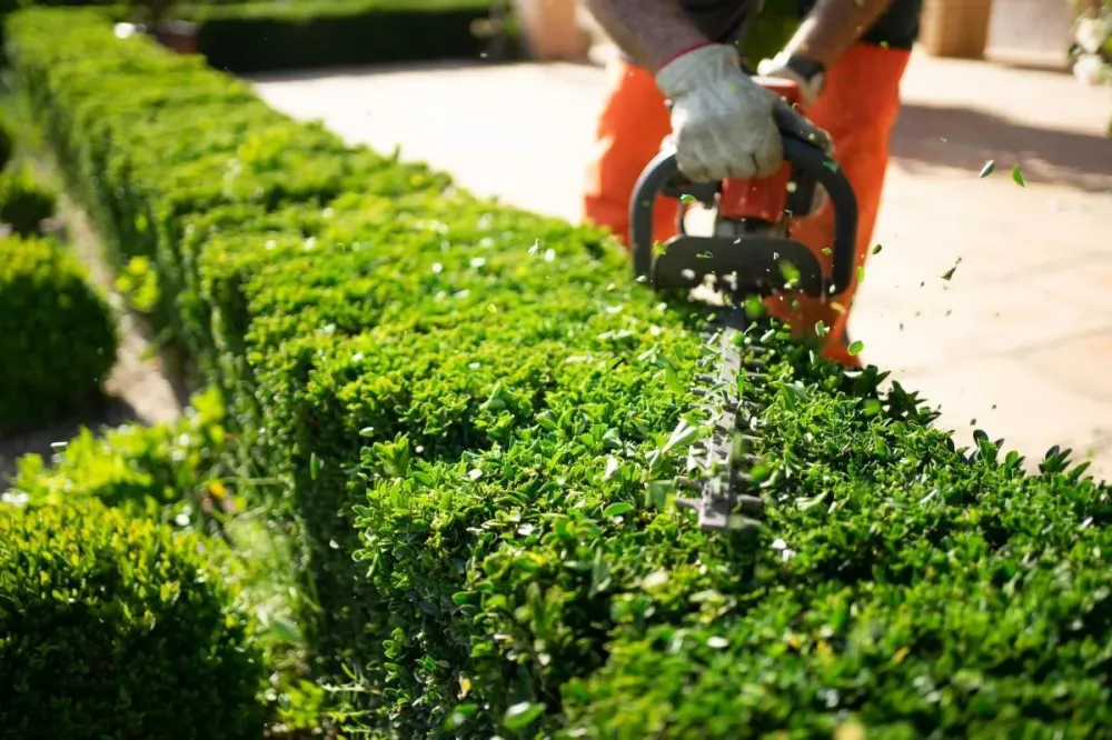 Espace vert et terrassement.webp