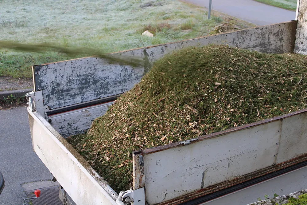 vacuation et broyage de branches